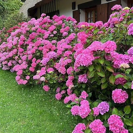 La Moutiniere, Luxury With Pool Manerbe