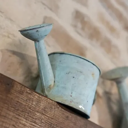 La Moutiniere, Luxury With Pool Villa