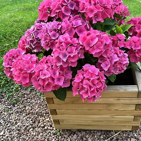 La Moutiniere, Luxury With Pool Villa *