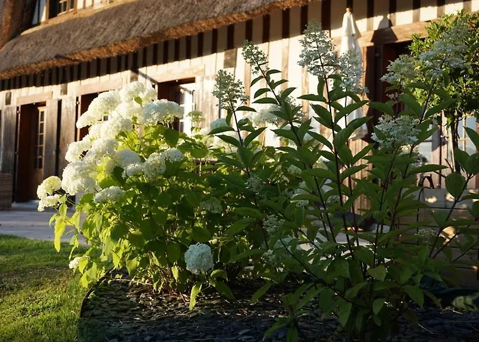 Vila La Moutiniere, Luxury With Pool *