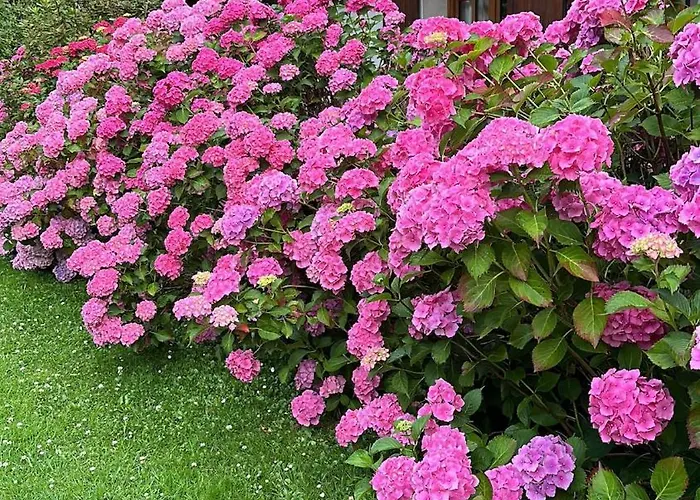 La Moutiniere, Luxury With Pool Manerbe