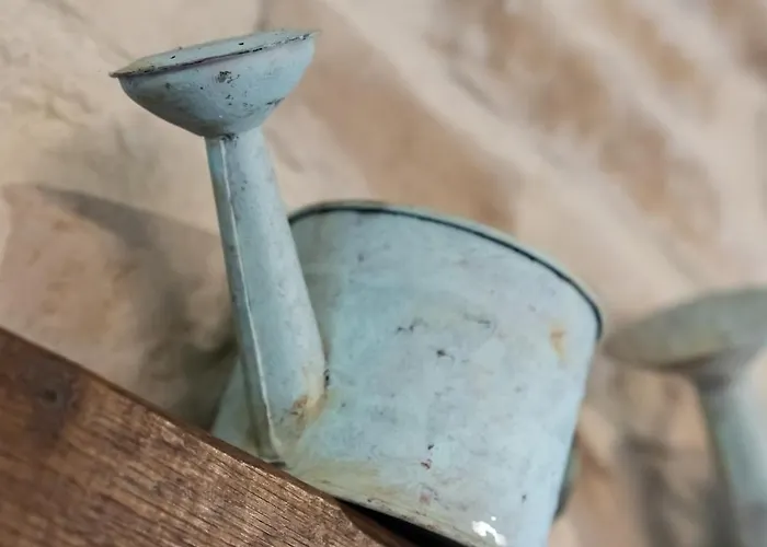 La Moutiniere, Luxury With Pool Vila